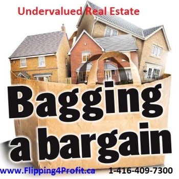 Undervalued Real Estate 