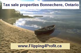 Tax sale properties Bonnechere, Ontario
