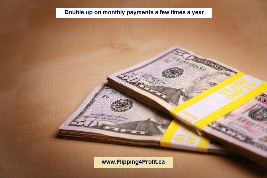 Double up on monthly payments a few times a year