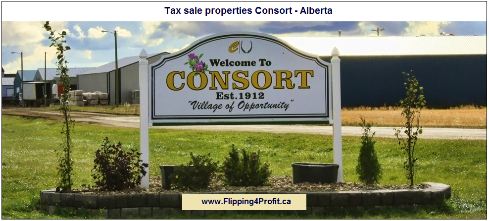 Tax sale properties Consort - Alberta