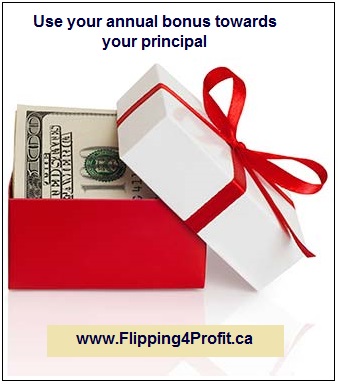 Use your annual bonus towards your principal