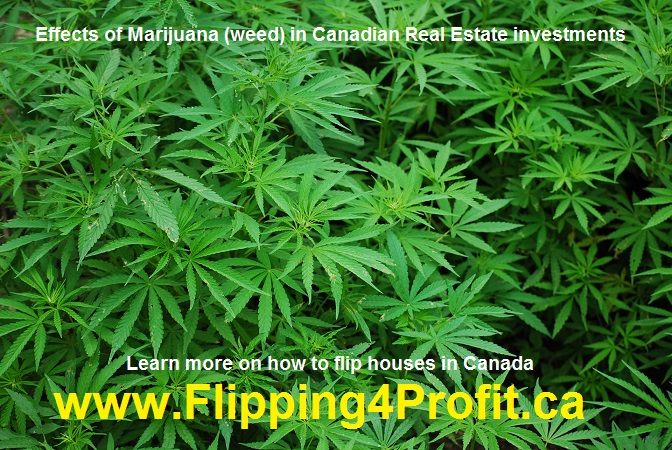 Effects of Marijuana (weed) in Canadian Real estate investments