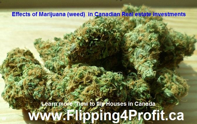 Effects of Marijuana (weed) in Canadian Real estate investments
