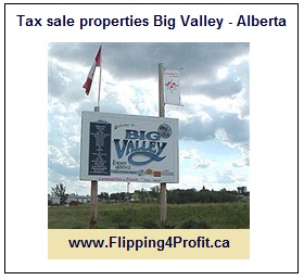 Tax sale properties Big Valley - Alberta