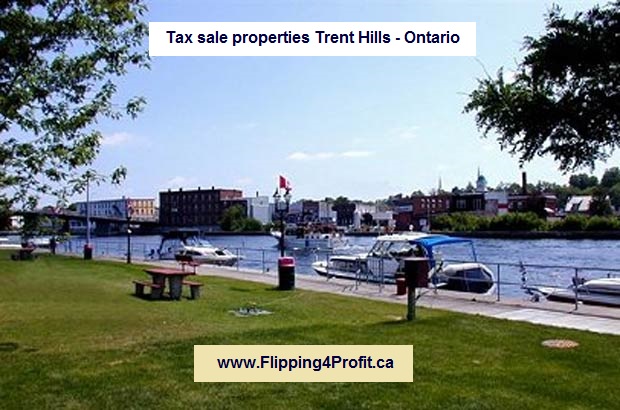 Tax sale properties Trent Hills