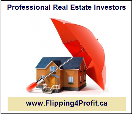 Professional Real Estate Investors