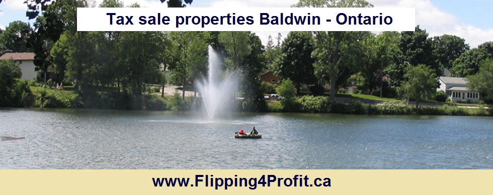 Tax sale properties Baldwin - Ontario