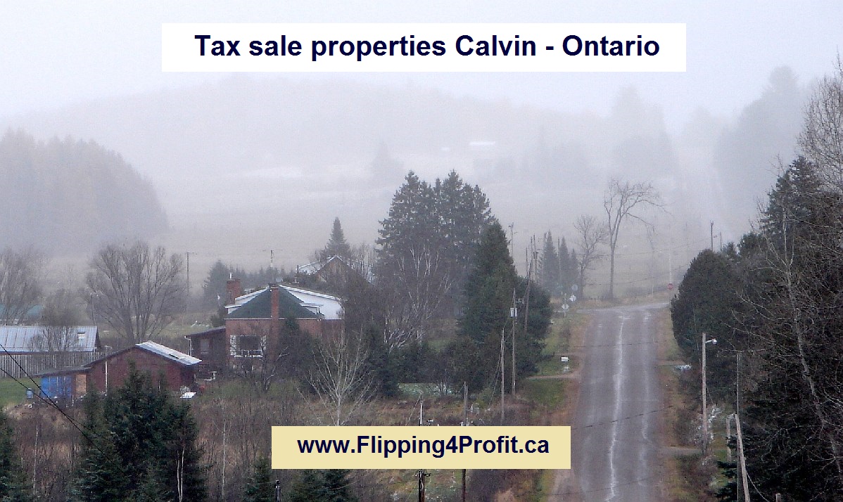 Tax sale properties Calvin - Ontario