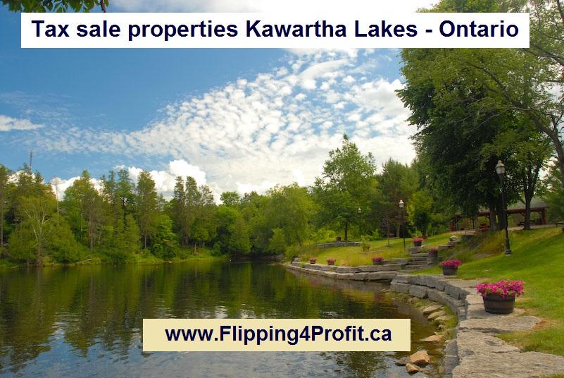 Tax sale properties Kawartha Lakes