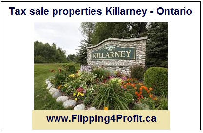 Tax sale properties Killarney - Ontario