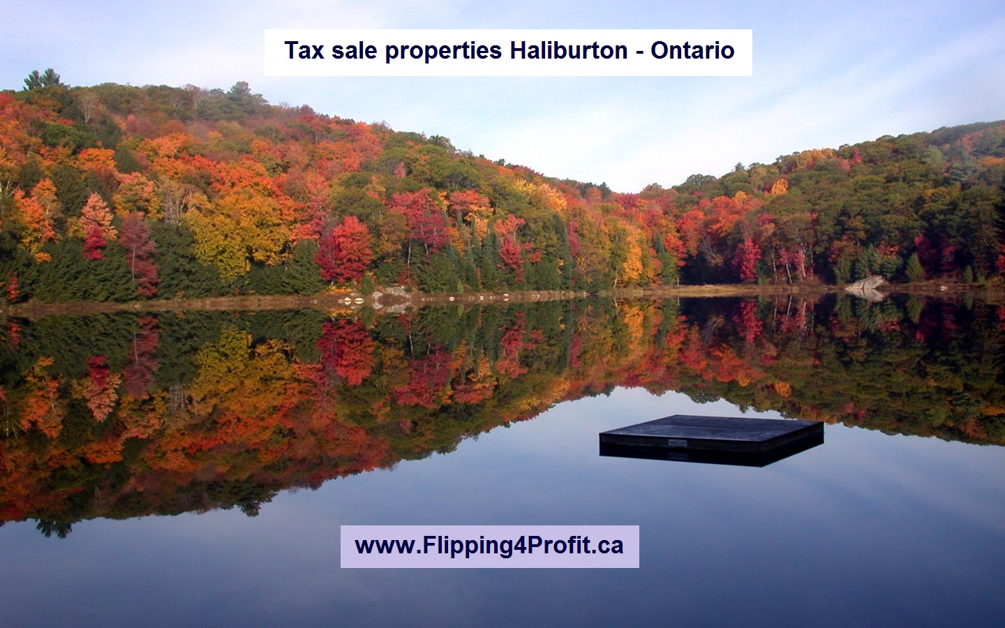 Tax sale properties Haliburton - Ontario