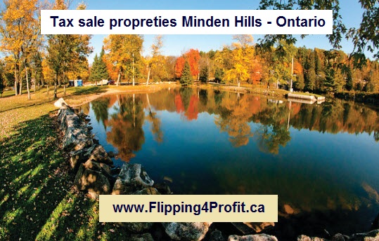 Tax sale propreties Minden Hills - Ontario