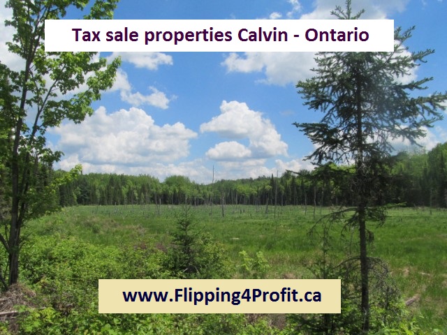 Tax sale properties Calvin - Ontario