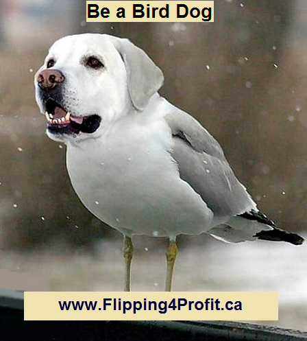 Canadian Real Estate Investors