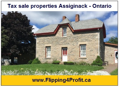 Tax sale properties Assiginack - Ontario