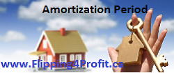 Amortization period