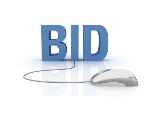 An individual who wishes to submit a bid for a moral person