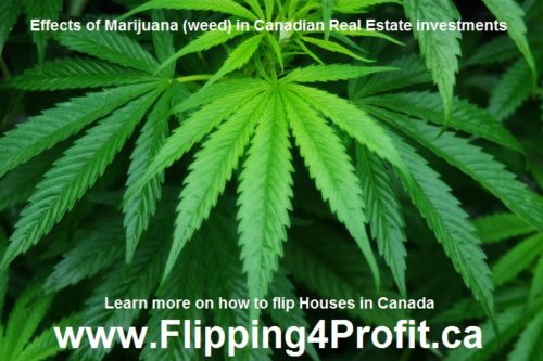 Effects of Marijuana (weed) in Canadian Real estate investments